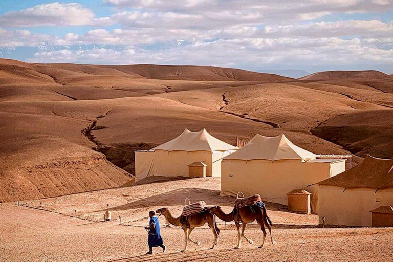 Agafay Desert Package, Quad Bike, Camel Ride and Dinner Show