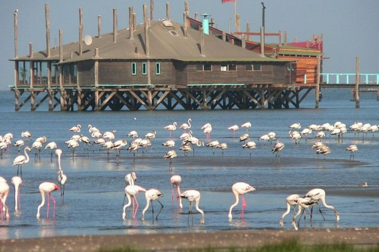 Private Highlights of Walvis Bay Tour