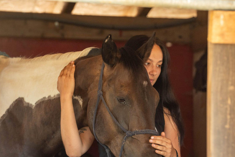 Plitvice: Horseback Riding Tour with Cave Entry Ticket Ride to Barać Caves (Half‑day Horseback Tour)