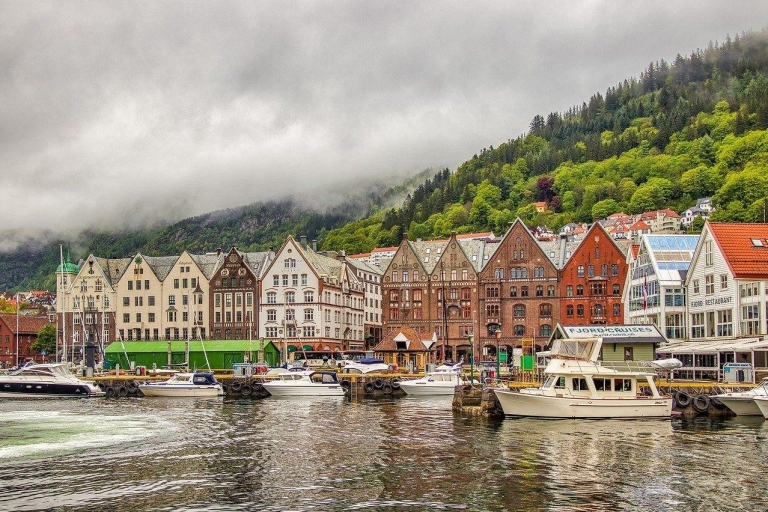 Prywatna piesza wycieczka po Bergen