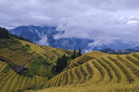 Guilin: Longji Rice Terraces Day Tour with Village Walks
