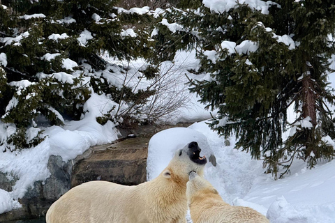 Toronto: Toronto Zoo Entry Ticket