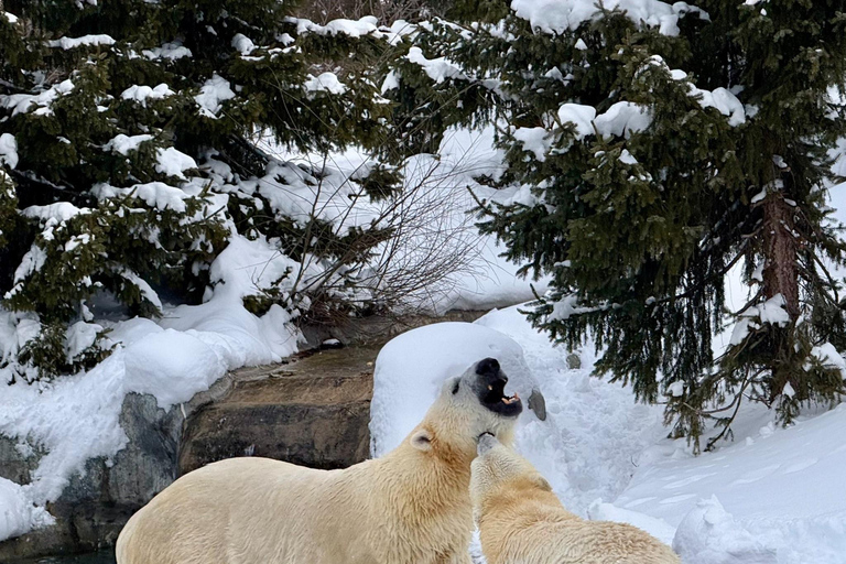 Toronto: Toronto Zoo Entry Ticket