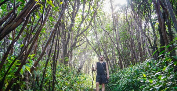 Mauritius: Black River Gorges Guided Hike