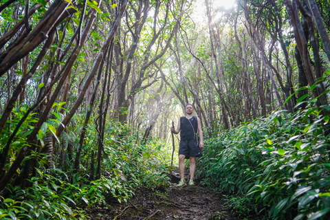 Mauritius: Black River Gorges Guided Hike Mauritius: Black River Gorges Guided Hike