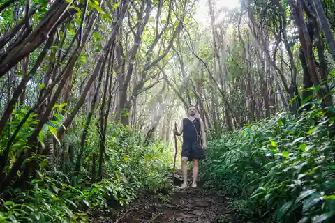 Mauritius: Guidad vandring i Black River Gorges