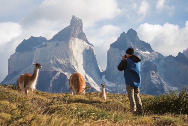 Puerto Natales: Tour Package (Full Day + Base Torres + Grey)