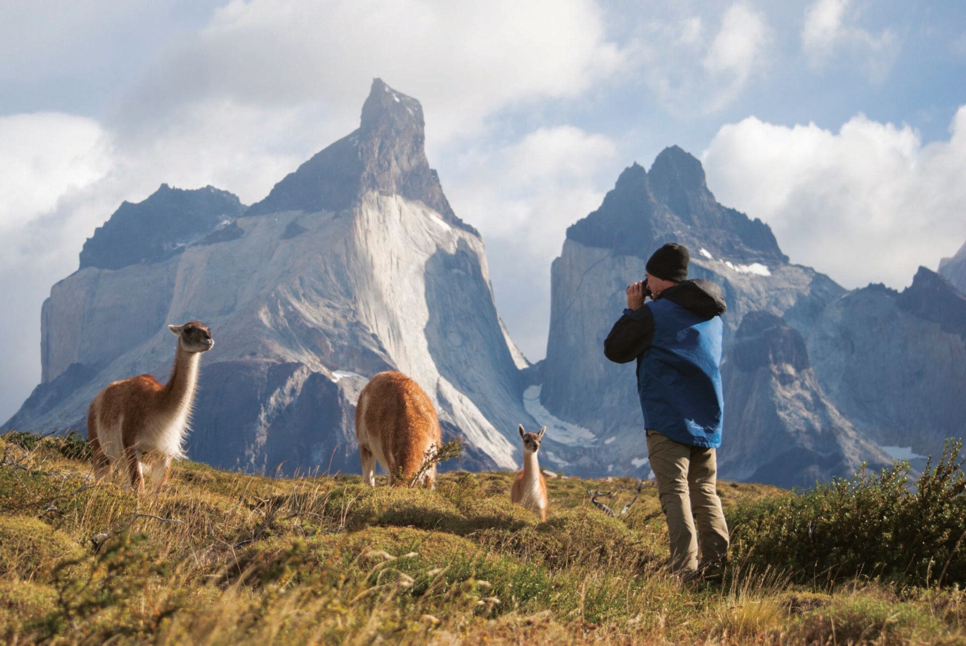 Puerto Natales: Ganztag Torres del Paine + Milodon Höhle