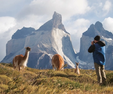 Puerto Natales: Hele dag Torres del Paine + Milodon Grot