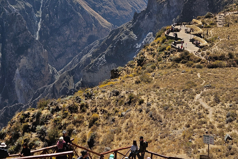 From Puno: Colca Canyon Expedition, Ending in Arequipa