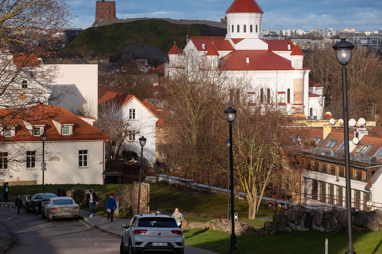 Vilna: Tour privado de medio día por la ciudad en monovolumen