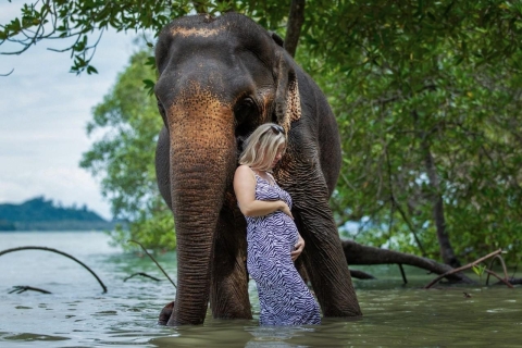Private beach with Bathing and Take care Elephant