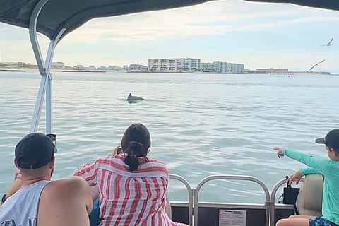 Destin: Destin Dolphin Harbor & Bay Boat Tour