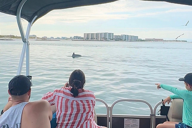 Destin: Destin Dolphin Harbor & Bay Boat Tour