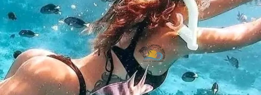 Zanzibar : plongée privée dans le lagon bleu et nage avec les étoiles de mer