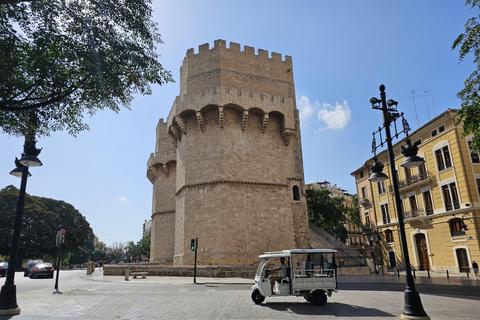 Valência: City Highlights Tour guiado na cidade por Tuk-Tuk