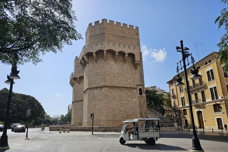 Valencia: Guidad stadsvandring i stadens höjdpunkter (Tuk-Tuk)