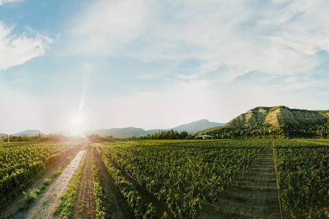 Tbilisi: Equitazione, degustazione di vini e cucina nel Kakheti ...