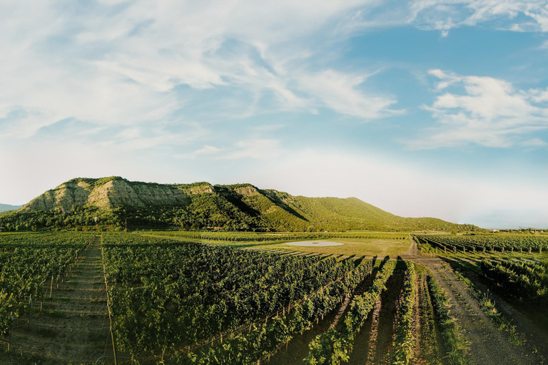 Tbilisi: Equitazione, degustazione di vini e cucina nel Kakheti ...