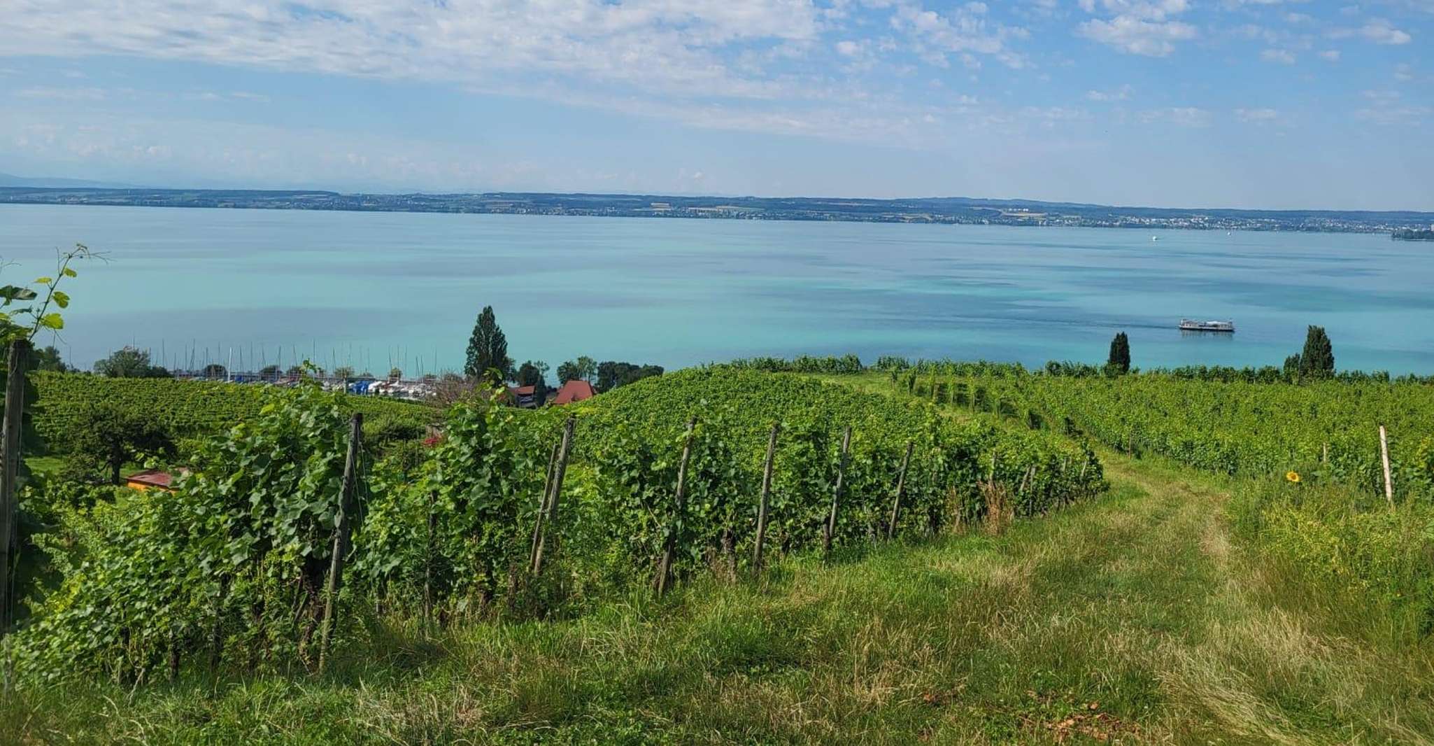 Radolfzell Segway, Radolfzeller Lake Show Segway PT - Housity