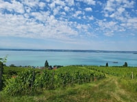 Radolfzell Segway, Radolfzeller Lake Show Segway PT - Housity