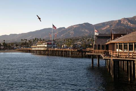 Los Angeles: Santa Barbara Coastal Private Day Tour