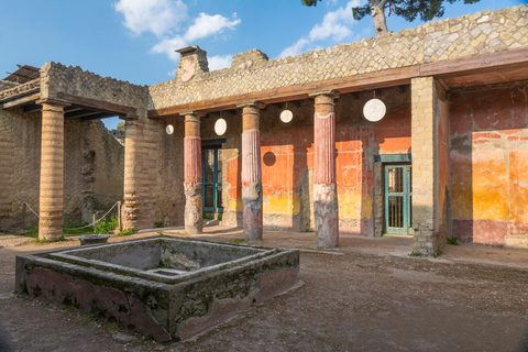 Herculaneum: Skip-the-Line Entry Ticket with Audio Guide