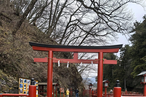 Nikko Private Day Tour with English Speaking Expert Driver