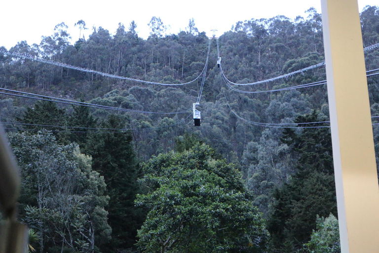 Observação de pássaros em Monserrate Bogotá