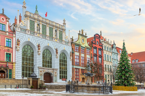Gdańsk: Old Town Private Tour with Artus Court Visit