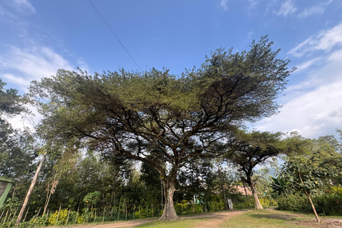 Addis Abeba: 12-tägige Tour durch das Omo-Tal und den Großen Afrikanischen Grabenbruch