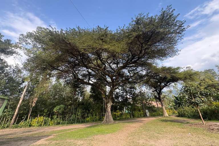 Addis Abeba: 12-tägige Tour durch das Omo-Tal und den Großen Afrikanischen Grabenbruch