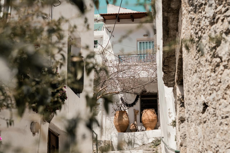 Z Rethymno: Jednodniowa wycieczka na południe Krety