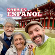 Nara in Spanish: Private Sightseeing Tour with Pick-Up from Osaka or Kyoto
