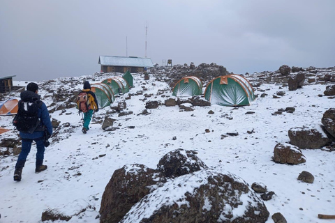 Kilimanjaro: 5-daagse Marangu Route Trek met Overnachting