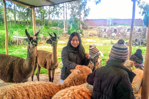 Cusco: City Tour Tour de Medio Día con Sacsayhuamán y Q’enqo Cusco: Morning City Tour with an Andean Dance Experience