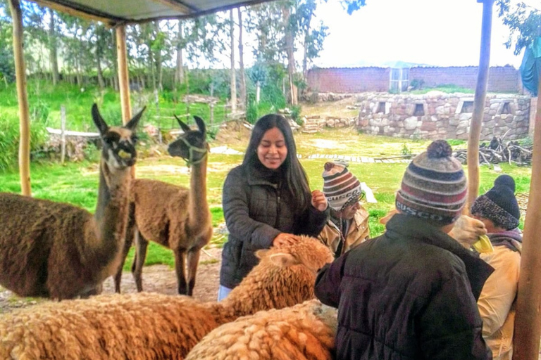 Cusco: City Tour Tour de Medio Día con Sacsayhuamán y Q’enqo Cusco: Morning City Tour with an Andean Dance Experience