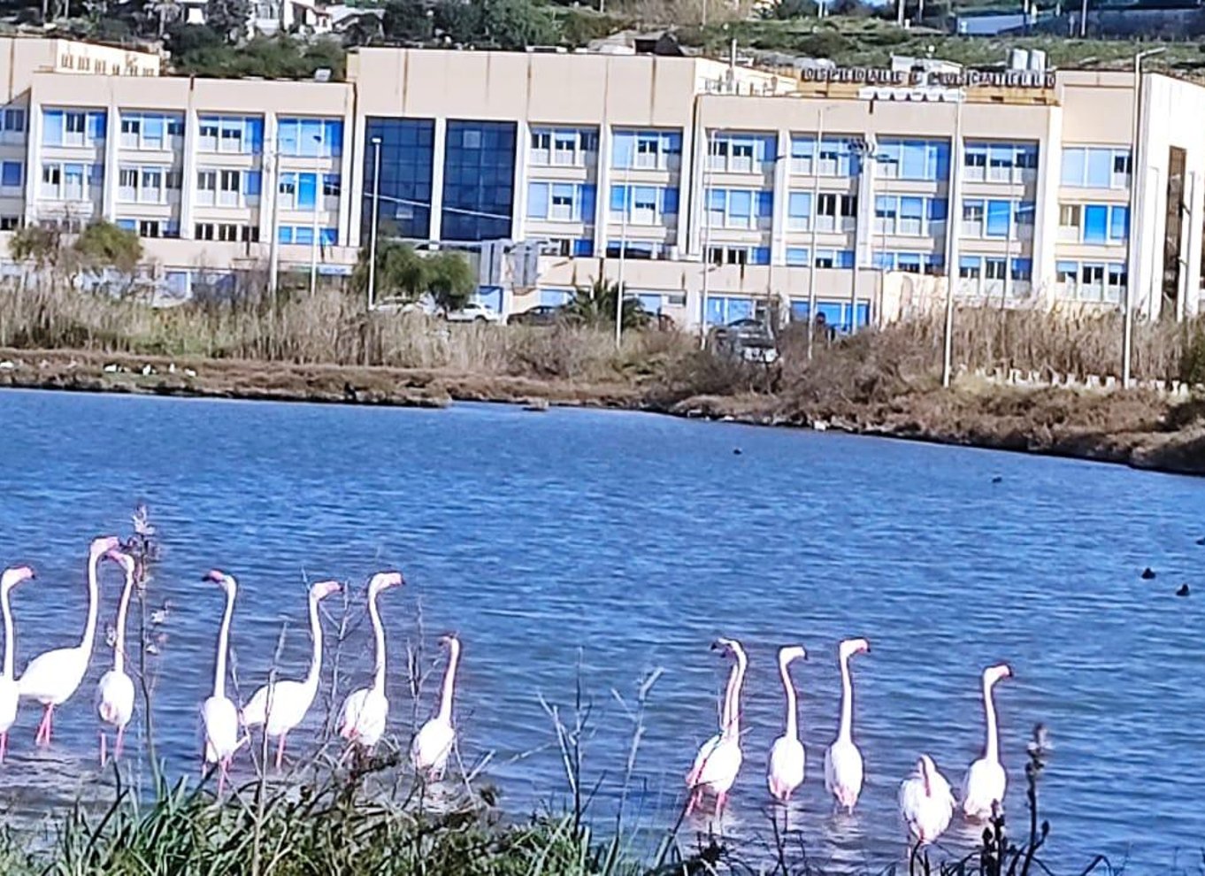 Saline di Trapani: 2 timer og 30 minutters salttur