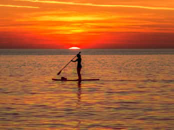 Paddle Board Rental: Glide on the Water with Ease