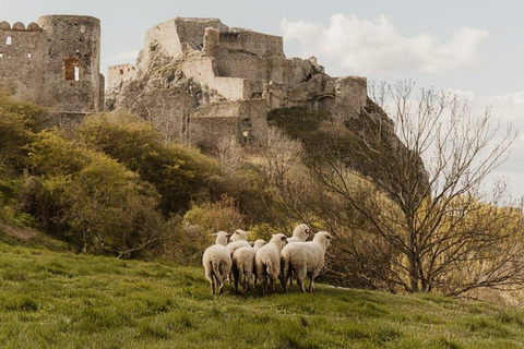 The 5-Castle Trail: A Cross-Border Journey