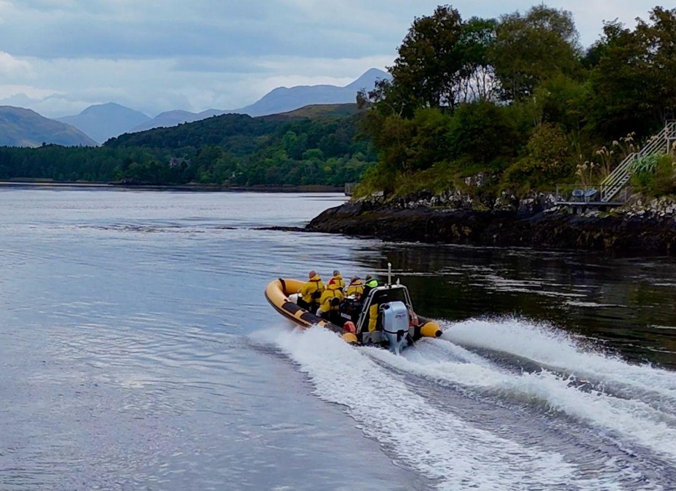 Fort William: 1 times Loch Safari Speedboat-tur