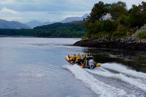 Fort William: 1hr Loch Safari Speedboat Tour
