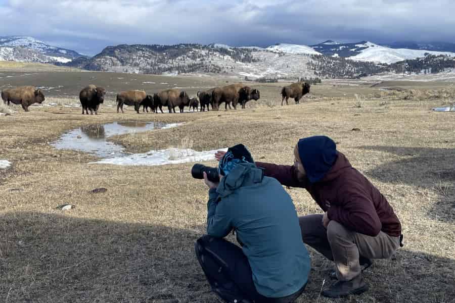 Badlands-Nationalpark: Wildtier-Fotografie-Tour. Foto: GetYourGuide