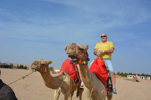 Passeio de camelo com pôr do sol e observação de estrelasServiço de busca no hotel em Hurghada