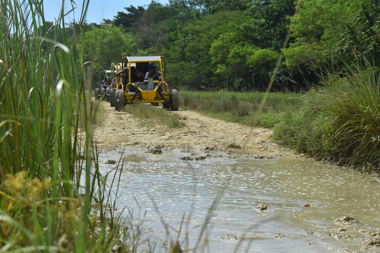 7 Chutes d&#039;eau Damajagua et Dune Buggy