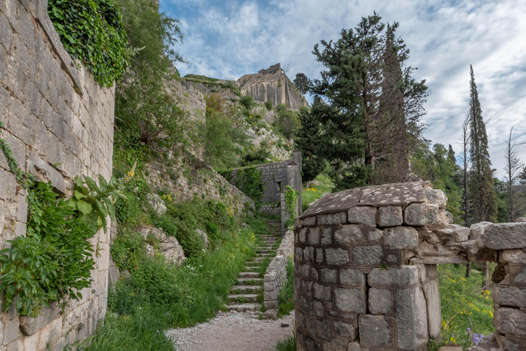 Kotor: City Walls Entry Ticket