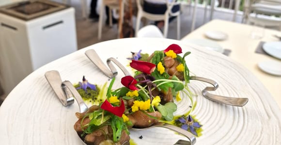 Gran Canaria: Spanish Tapas and Wine Tasting Tour in Mogan