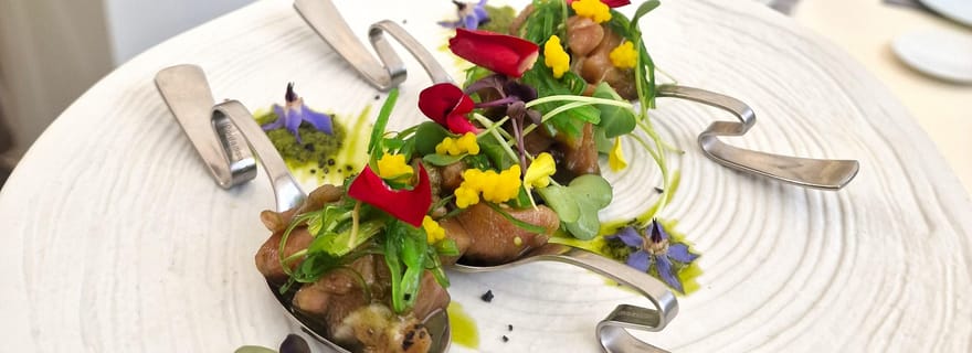 Grande Canarie : dégustation de vins et de tapas espagnols à Mogan