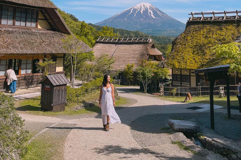 Tokyo: Mount Fuji Must See Private Tour Adjustable Itinerary