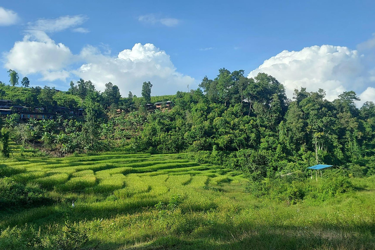 Chiang Mai: 2-Day Reforestation Adventure with Rafting Chiang Mai: 2-Day Private Reforestation Adventure